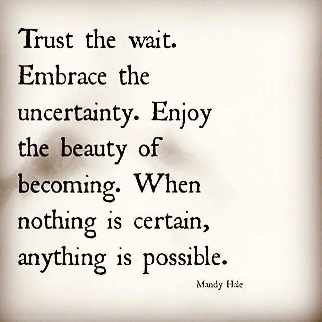 13380890_900389693416868_819811945_n